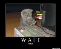 LOLcats