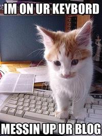 LOLcats