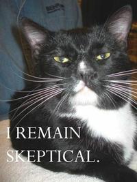 LOLcats