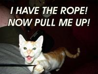 LOLcats