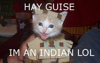 LOLcats