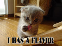 LOLcats