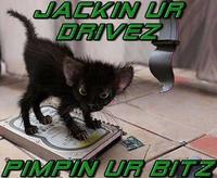 LOLcats