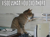 LOLcats