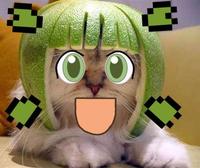 Limecat