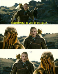 What do your elf eyes see?