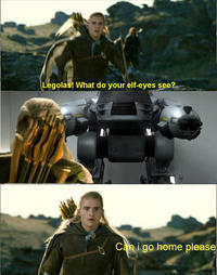 What do your elf eyes see?