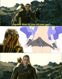 What do your elf eyes see?