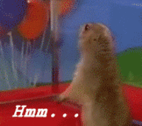 Dramatic Chipmunk / Drama Prairie Dog