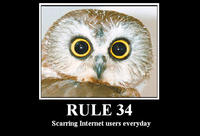 Rule 34
