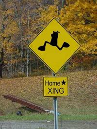 Homestar runner