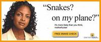 Snakes on a Plane