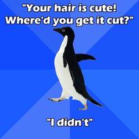 Socially Awkward Penguin