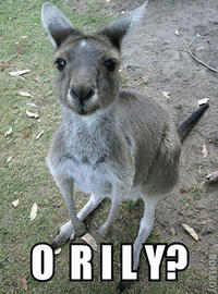 O RLY?