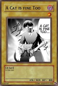 A cat is fine too....
