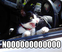 Darth Vader's Noooooooooooo!