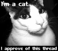 X Does Not Approve/ Approves