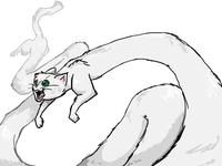 Longcat