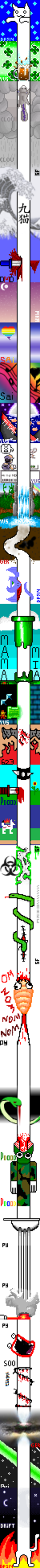 Longcat