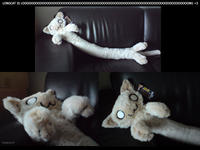 Longcat