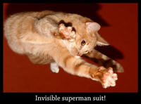 Invisible X