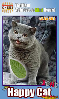 Happy Cat