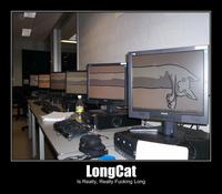 Longcat
