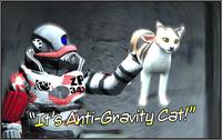 Gravity Cat