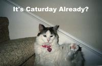 Caturday