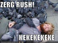 Zerg Rush