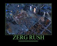 Zerg Rush