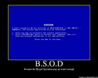 Blue Screen of Death (BSoD)