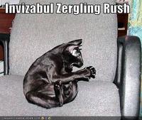 Zerg Rush