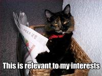 This is Relevant to My Interest