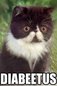 Diabeetus