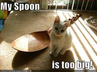 My Spoon Is Too Big