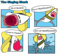 The Singing Shark