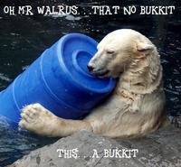 Lolrus