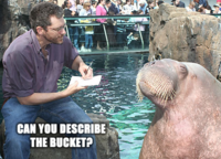 Lolrus