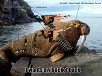 Lolrus