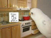 Dick Butt
