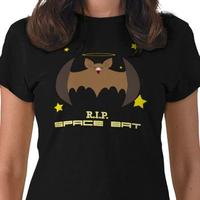 Space Bat