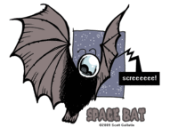 SpaceBat