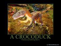 633591445011884825-acrocoduck
