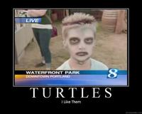 I Like Turtles