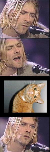 Kurt Cobain Reaction