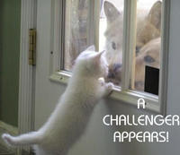A Challenger Appears