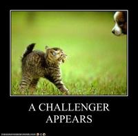 A Challenger Appears