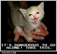 LOLcats