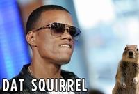 Crasher Squirrel